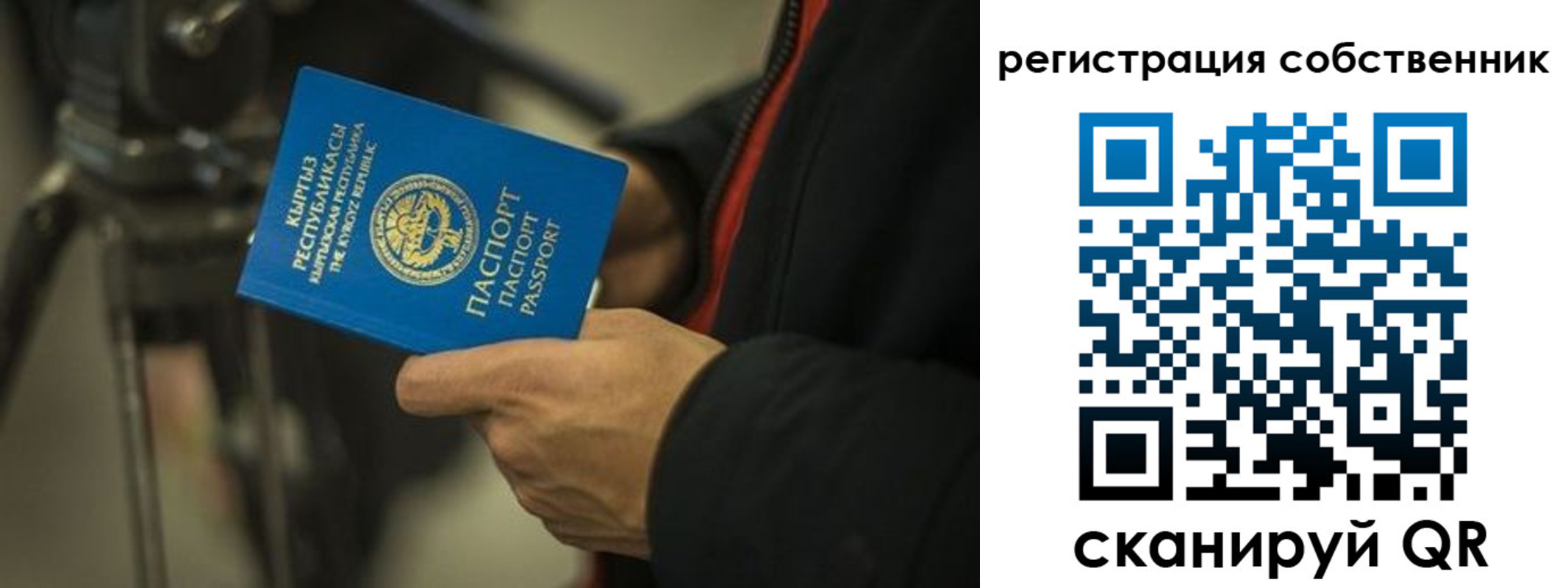 временная регистрация поиск в Белгородской области